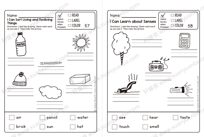 《Science Doodles First Grade 200+页》TPT出品35个主题 幼儿科学启蒙 PDF 百度云网盘下载