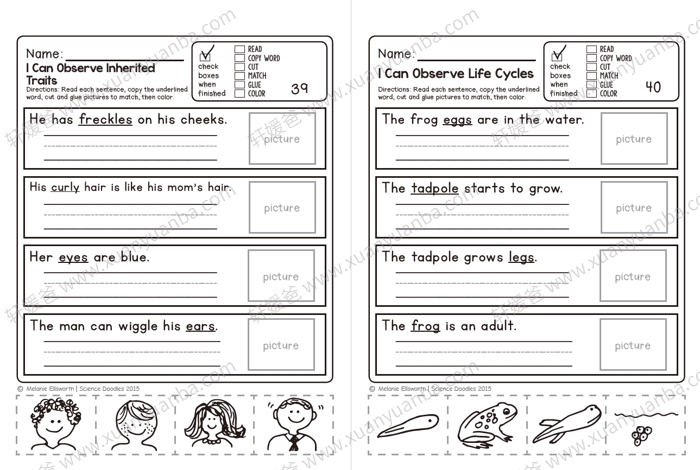 《Science Doodles First Grade 200+页》TPT出品35个主题 幼儿科学启蒙 PDF 百度云网盘下载