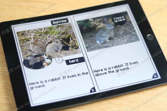 《Differentiated Leveled Nonfiction Readers》非小说类阅读理解练习册三册 PDF百度网盘下载