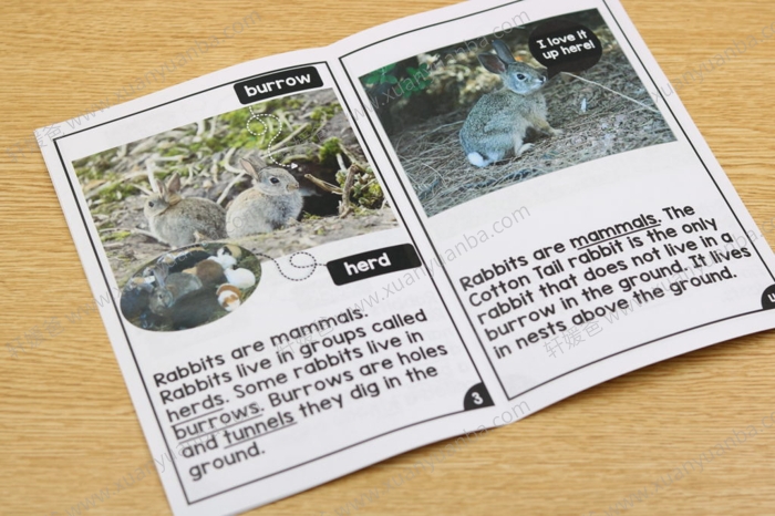 《Differentiated Leveled Nonfiction Readers》非小说类阅读理解练习册三册 PDF百度网盘下载