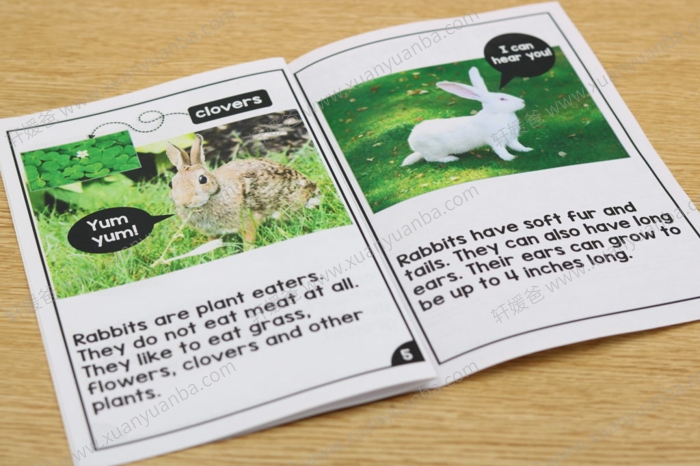 《Differentiated Leveled Nonfiction Readers》非小说类阅读理解练习册三册 PDF百度网盘下载