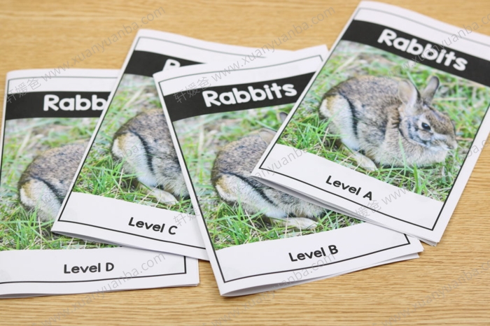 《Differentiated Leveled Nonfiction Readers》非小说类阅读理解练习册三册 PDF百度网盘下载