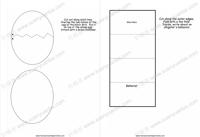 《Science Lapbooks》23个主题翻翻书 PDF 百度云网盘下载