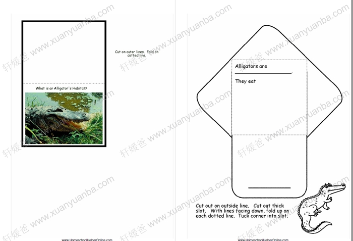 《Science Lapbooks》23个主题翻翻书 PDF 百度云网盘下载