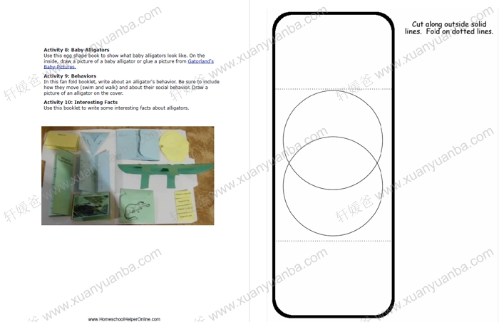 《Science Lapbooks》23个主题翻翻书 PDF 百度云网盘下载