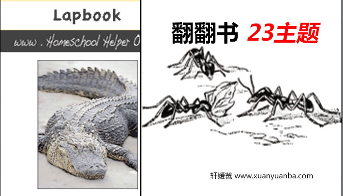 《Science Lapbooks》23个主题翻翻书 PDF 百度云网盘下载