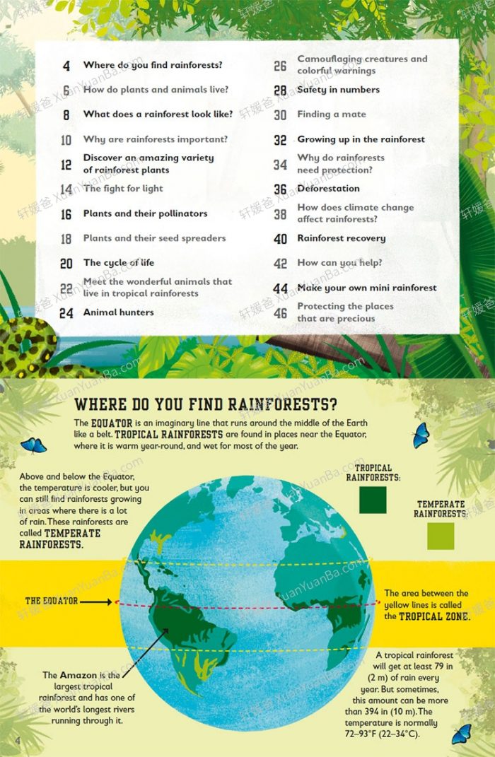 《The Rainforest Book 》DK热带雨林原版英文绘本 PDF 百度云网盘下载