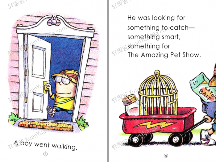 《Fly Guy》苍蝇小子有声绘本桥梁书全15册PDF百度云网盘下载