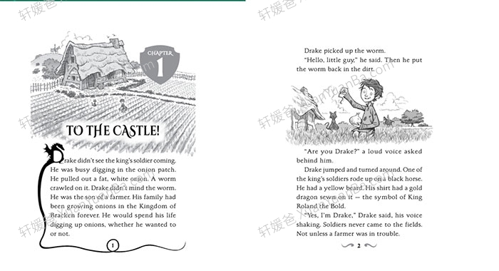 《Tracey West - Dragon Masters》驯龙大师系列桥梁书19册有声书1-26集MP3音频+PDF 百度云网盘下载