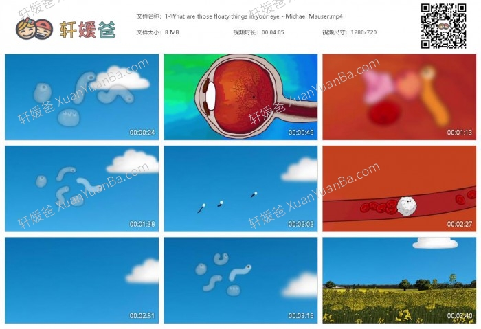 《Getting Under Our Skin》人体奥秘科普视频156集 MP4视频百度云网盘下载