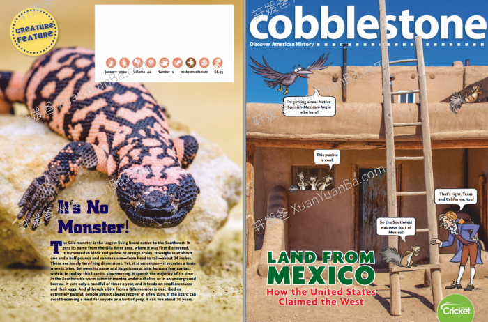 《Cobblestone》鹅卵石2016-2024年儿童英文历史文化杂志PDF 百度云网盘下载