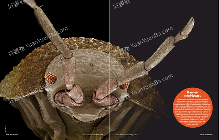 《How It Works 2014-2022杂志合集》青少年万物科普科学英语阅读杂志PDF 百度云网盘下载
