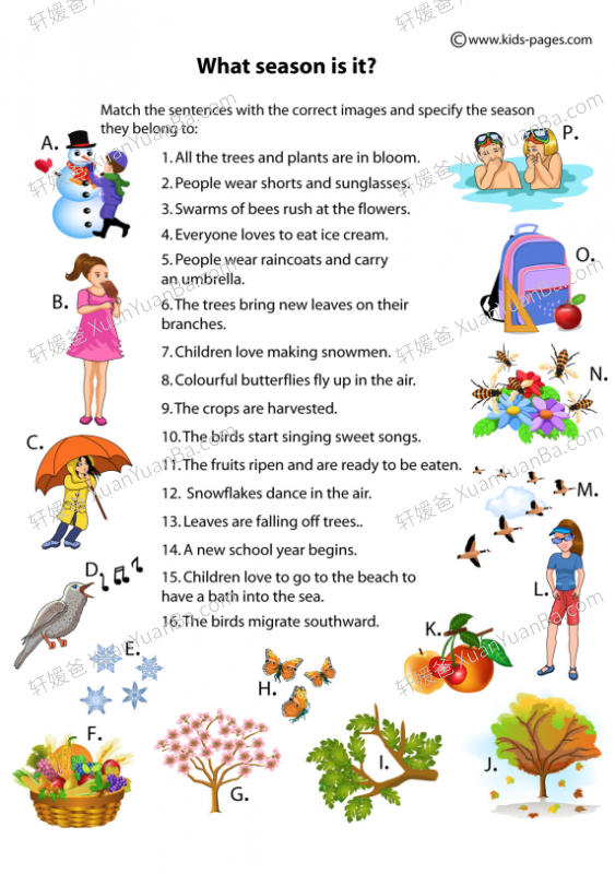 《Seasons Worksheets》关于季节的练习3套PDF百度网盘下载