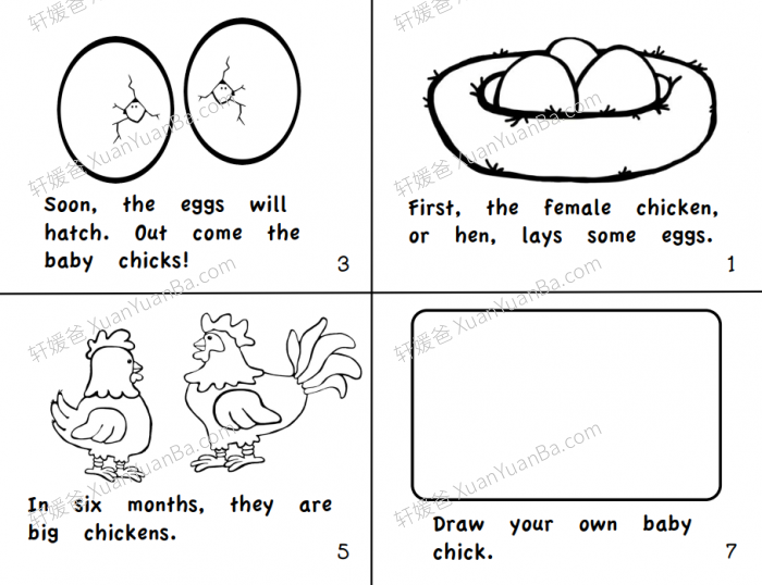 《40 Science Books for Beginning Readers》40个科学知识PDF百度网盘下载