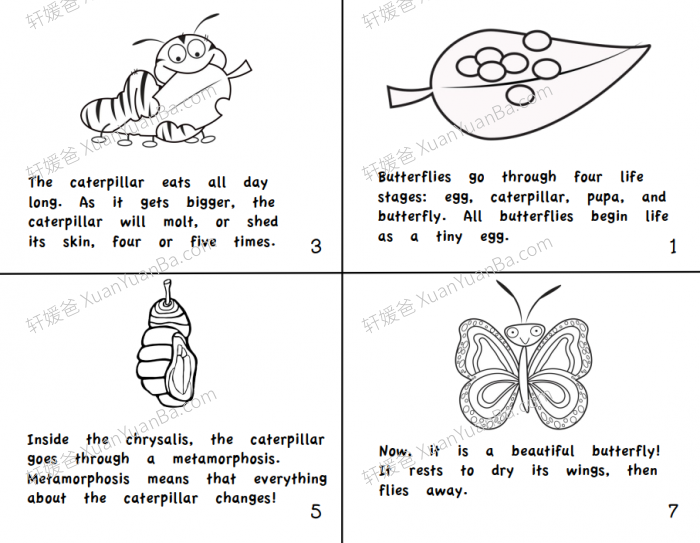《40 Science Books for Beginning Readers》40个科学知识PDF百度网盘下载