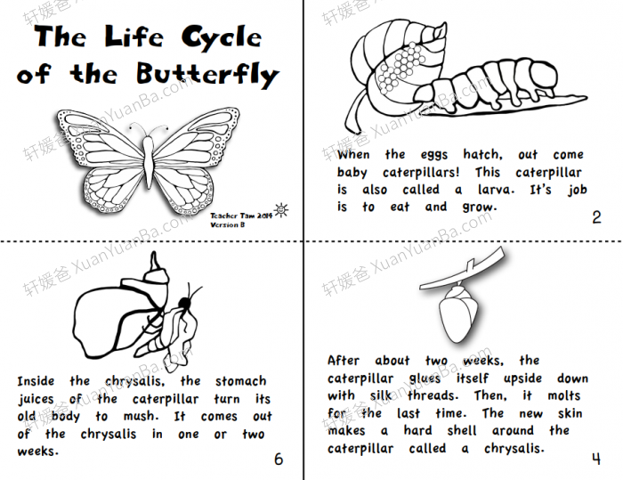 《40 Science Books for Beginning Readers》40个科学知识PDF百度网盘下载