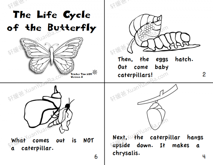《40 Science Books for Beginning Readers》40个科学知识PDF百度网盘下载