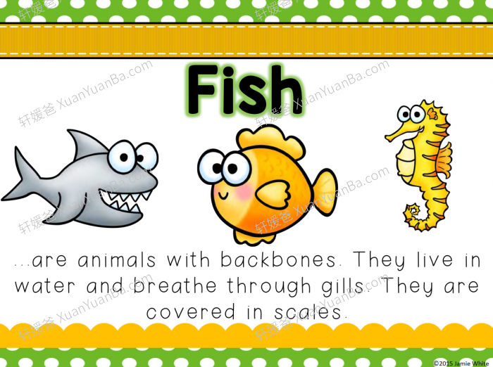 《Animals Preschool 》关动物的所有知识练习纸98页PDF 百度云网盘下载