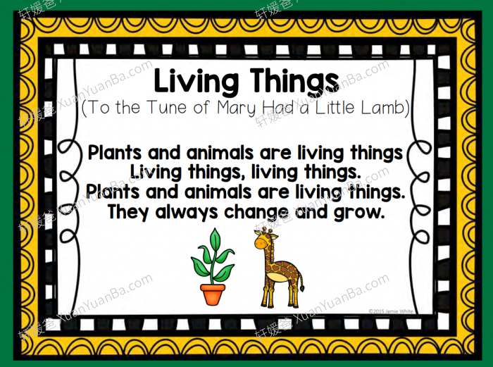 《Animals Preschool 》关动物的所有知识练习纸98页PDF 百度云网盘下载