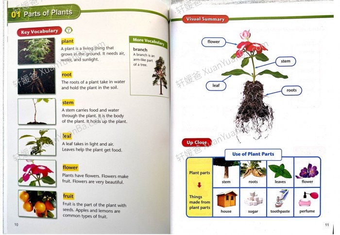 《American Textbook Reading science》美国小学科学课外教课程1-4级+配套课本PDF百度网盘下载