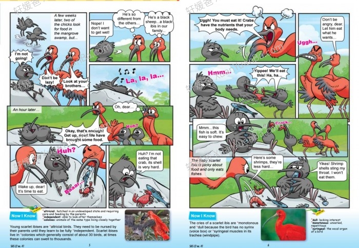 《Science Adventures Level1-3》科学冒险历险记1-3级全三册PDF 百度网盘下载