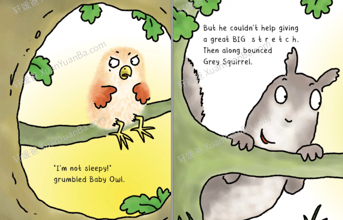 《小猫头鹰系列》幼儿英文绘本共4册PDF 百度云网盘下载