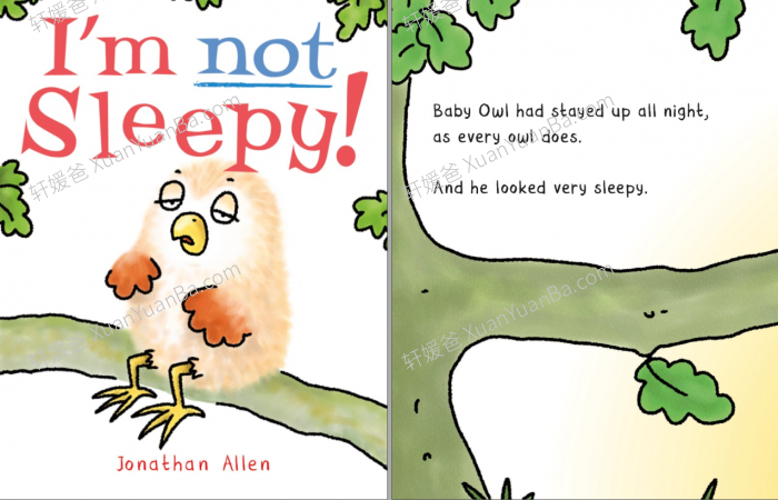 《小猫头鹰系列》幼儿英文绘本共4册PDF 百度云网盘下载