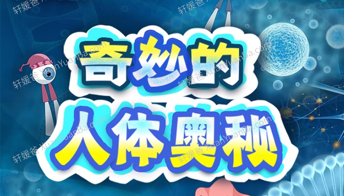 《奇妙的人体奥秘》10集科人体普动画片 MP4视频百度云网盘下载