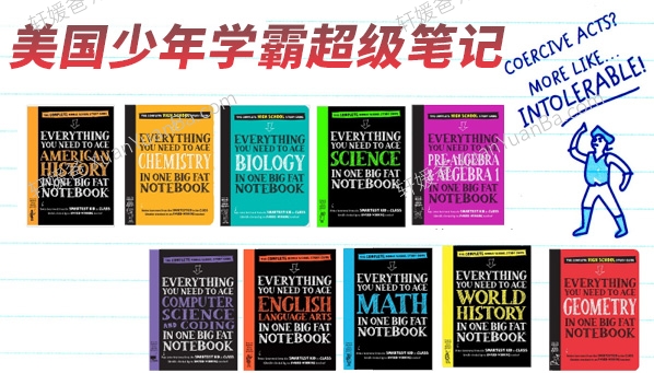《Everything You Need to Ace》十册美国少年学霸超级笔记PDF 百度云网盘下载