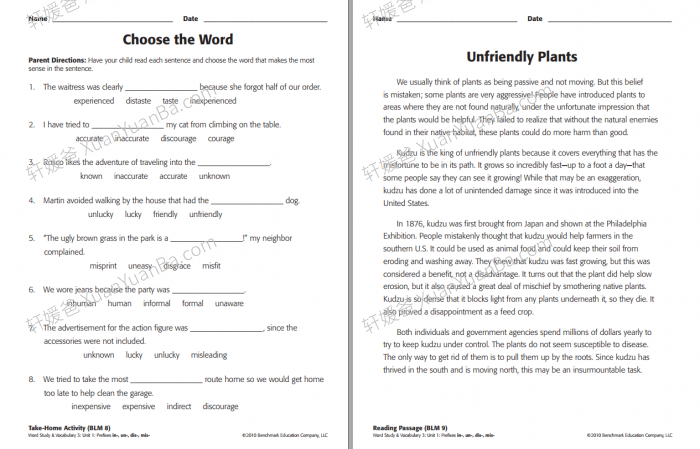 《Benchmark Education Word Resouce L1 -L4》词汇英文原版练习册PDF 百度云网盘下载
