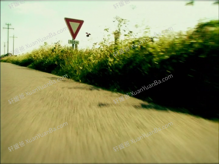 《Minuscule》微观小世界1-2季昆虫秀动画记录片176集 AVI视频 百度云网盘下载