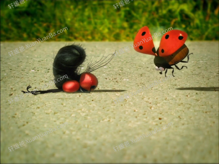 《Minuscule》微观小世界1-2季昆虫秀动画记录片176集 AVI视频 百度云网盘下载