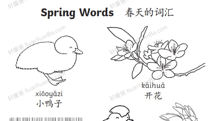 《春天的拼音词汇》小学学前的涂色练习2页 PDF 百度云网盘下载