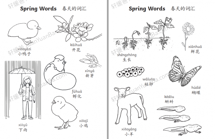 《春天的拼音词汇》小学学前的涂色练习2页 PDF 百度云网盘下载