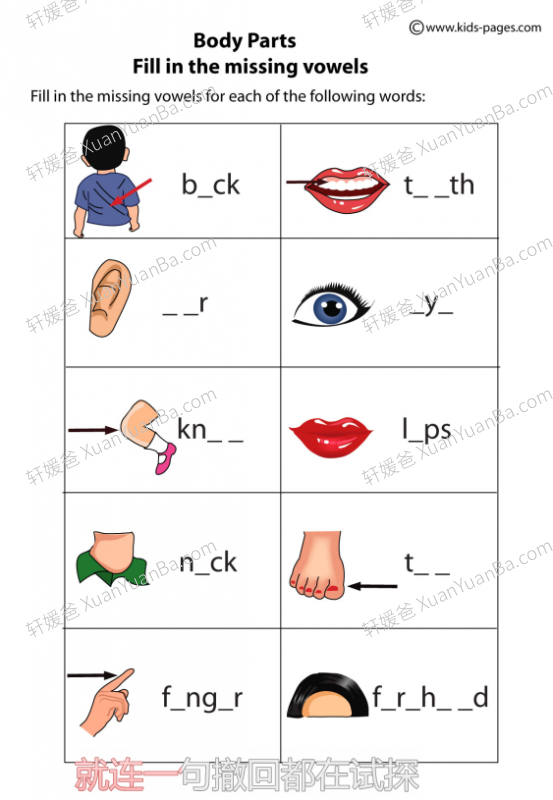 《关于身体的词汇练习》18份PDF 百度云网盘下载