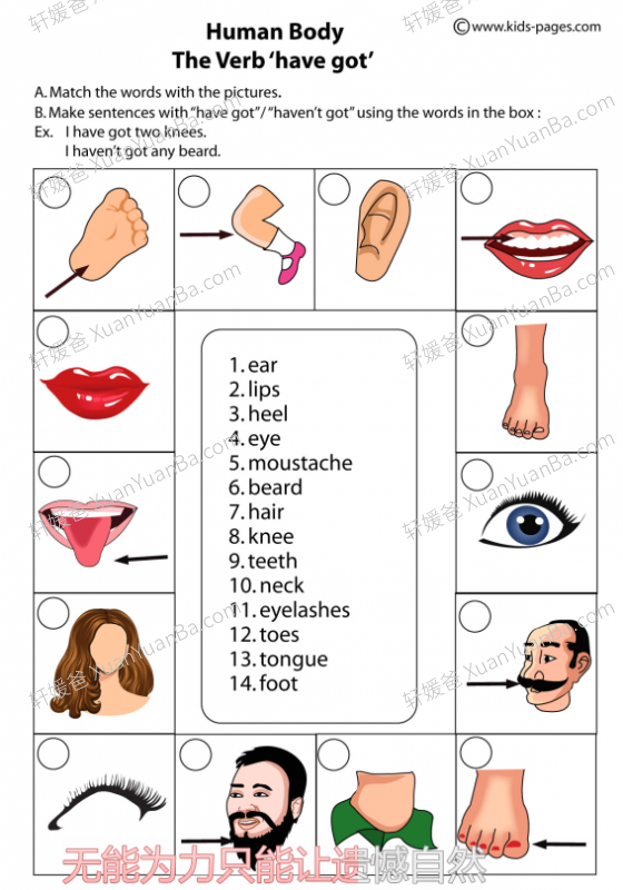 《关于身体的词汇练习》18份PDF 百度云网盘下载