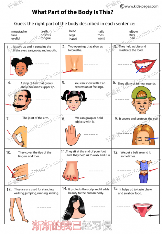 《关于身体的词汇练习》18份PDF 百度云网盘下载
