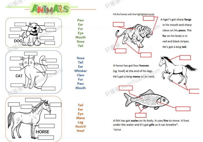 动物身体部位animal Body Parts 主题词汇专项练习pdf 百度云网盘下载 轩媛爸