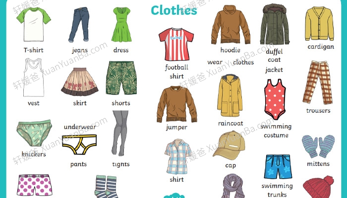 《8大主题英文单词海报》英语启蒙日常使用 PDF 百度云网盘下载