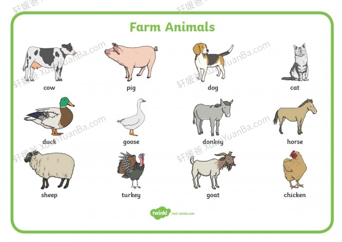 《8大主题英文单词海报》英语启蒙日常使用 PDF 百度云网盘下载