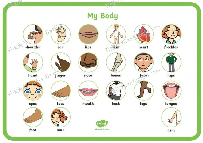 《8大主题英文单词海报》英语启蒙日常使用 PDF 百度云网盘下载