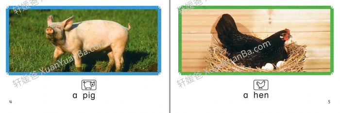 《哈考特 Decoding books》75本可解码自然拼读阅读分级绘本PDF 百度云网盘下载