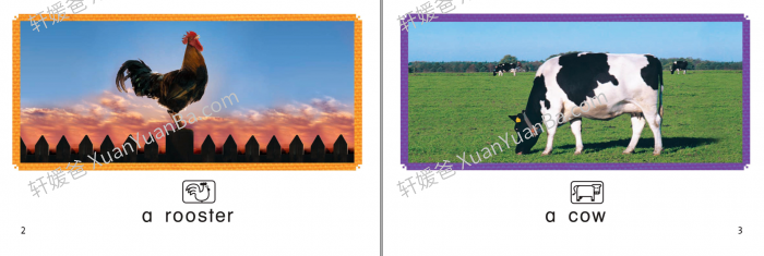 《哈考特 Decoding books》75本可解码自然拼读阅读分级绘本PDF 百度云网盘下载