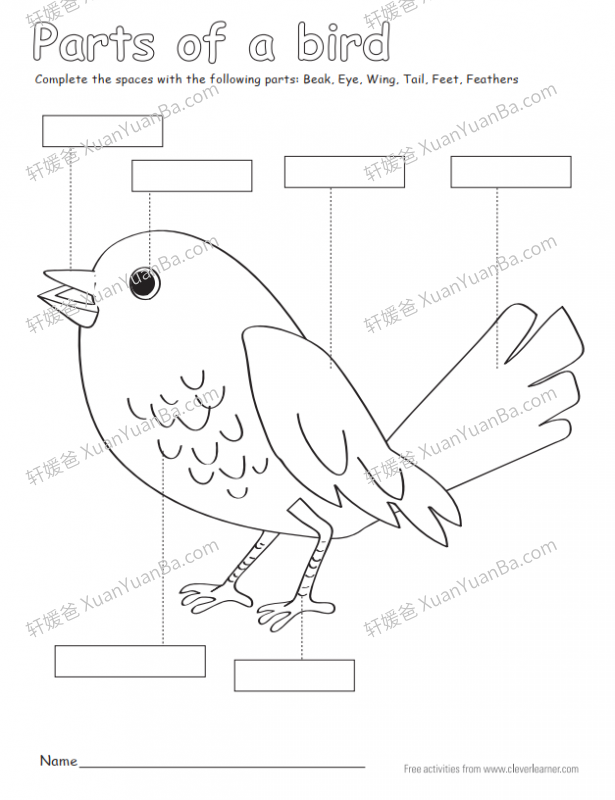 《动物身体词汇 ANIMAL BODY PARTS》7份动物身体词汇专项练习PDF 百度云网盘下载