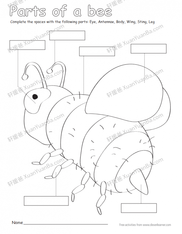 《动物身体词汇 ANIMAL BODY PARTS》7份动物身体词汇专项练习PDF 百度云网盘下载