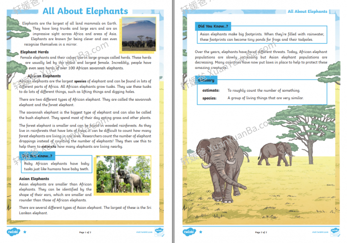 《Twinkl阅读理解77篇》13个主题PDF 百度云网盘下载