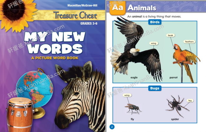 《My New Words》美国加州小学词汇启蒙教材练习册PDF 百度云网盘下载