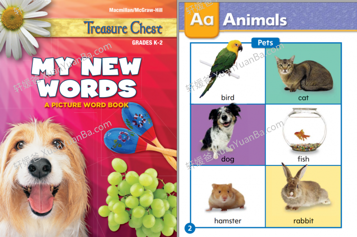 《My New Words》美国加州小学词汇启蒙教材练习册PDF 百度云网盘下载