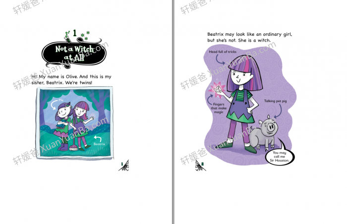 《奥莉芙和碧翠丝系列 Olive & Beatrix Series》 奇幻家庭生活主题桥梁书 百度云网盘下载