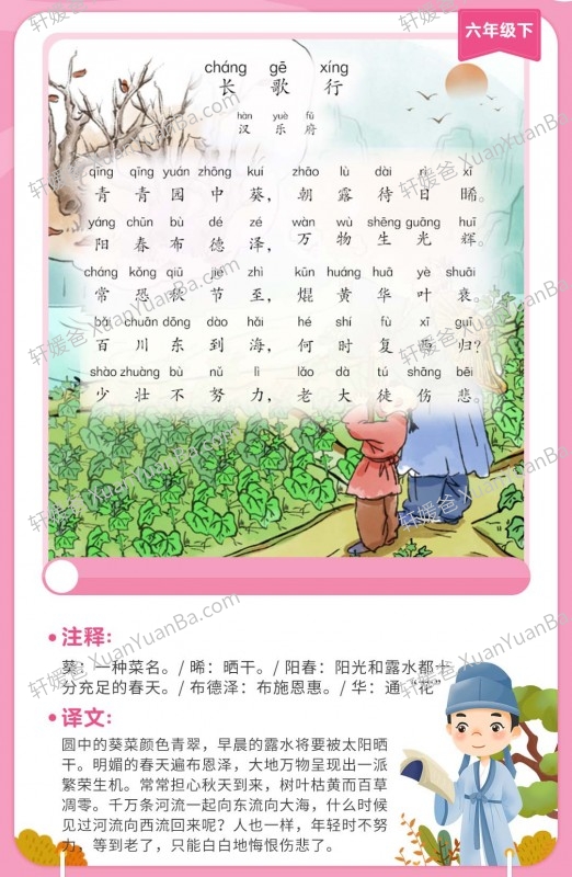 《荷小鱼100节首古诗卡片》75+80首彩色配图注释和译文 百度云网盘下载